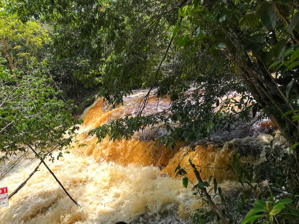 Amazon Brazil Globetrotter duo