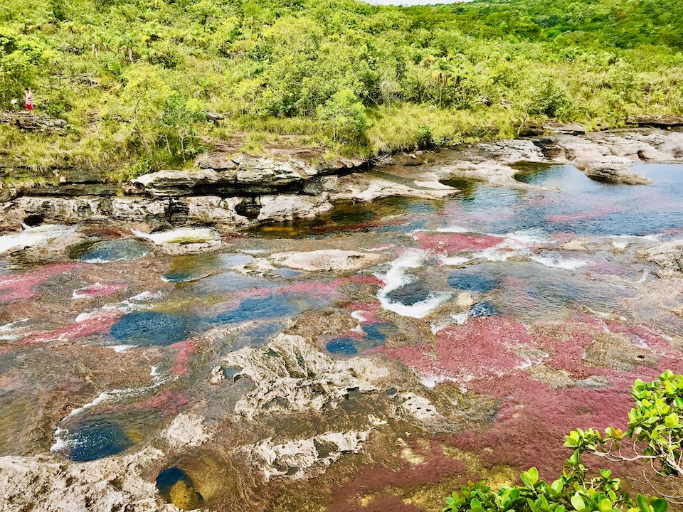 Cano Cristales Colombia Globetrotter duo